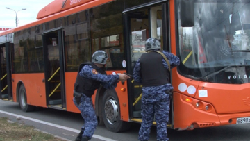 В Волгограде благодаря тревожной кнопке Росгвардии пресечено правонарушение на общественном транспорте