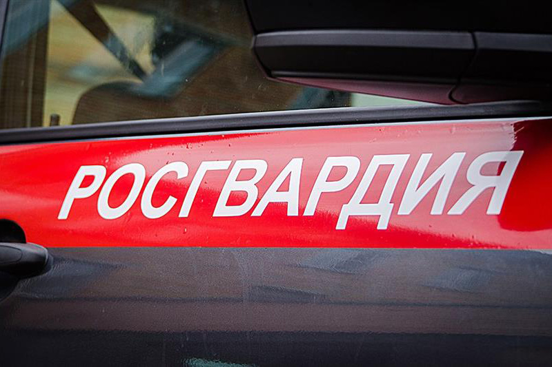 Подозреваемого в угоне автомобиля задержали росгвардейцы в Республике Коми