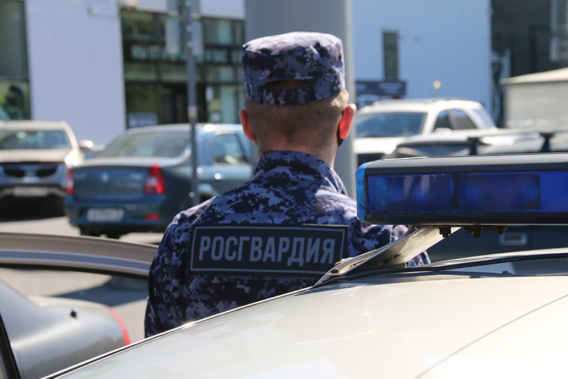Сотрудниками Росгвардии в Петербурге задержан подозреваемый в угонах автомобилей
