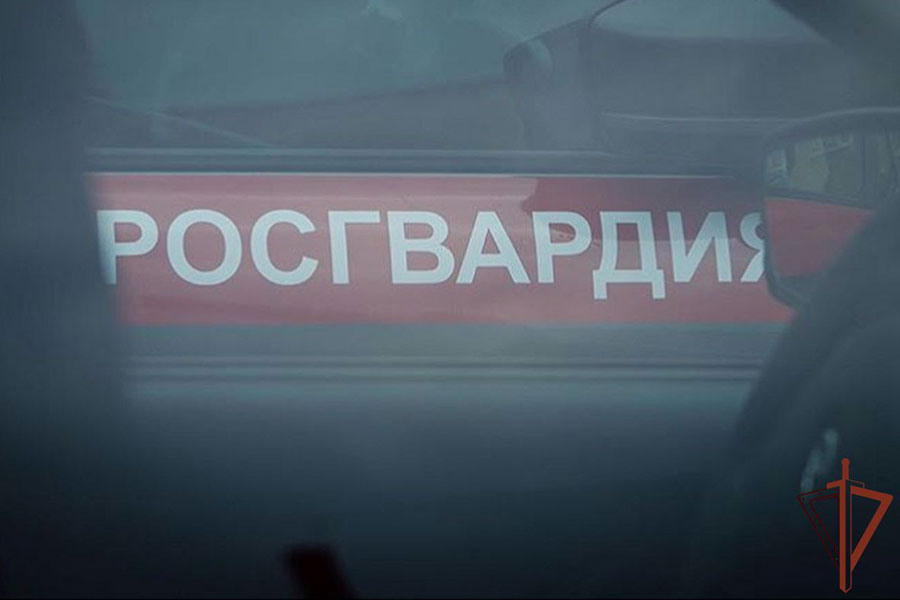 Угон автомобиля пресекли росгвардейцы в Москве