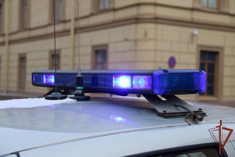 Патруль Росгвардии помог петербургским полицейским в поимке предполагаемых автоугонщиков